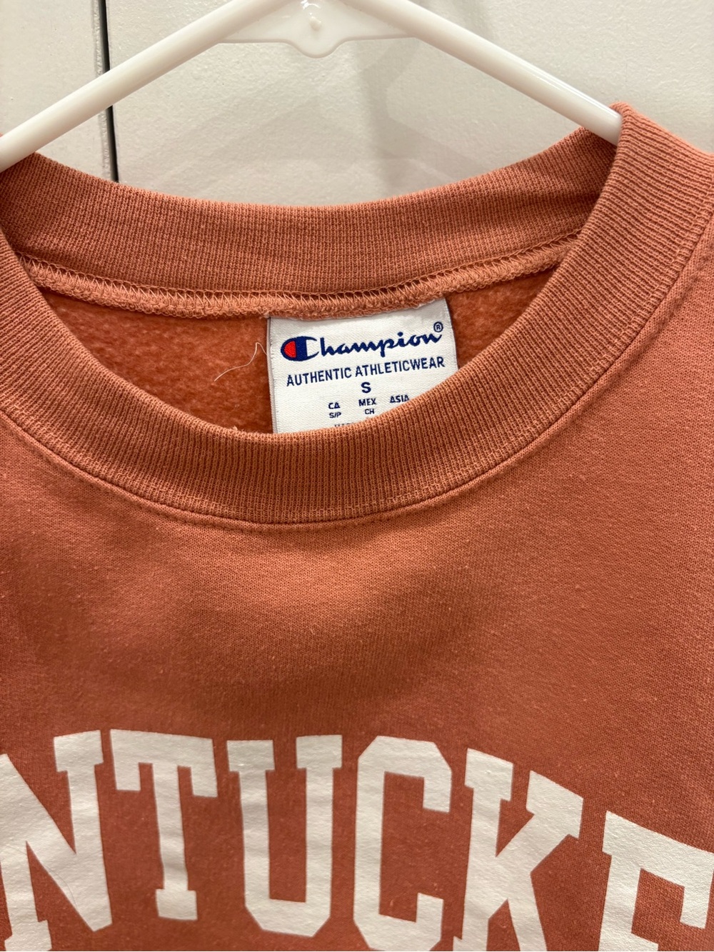 Champion Nantucket Crewneck Sweatshirt in Dusty Coral with White Print - Picture 2 of 3
